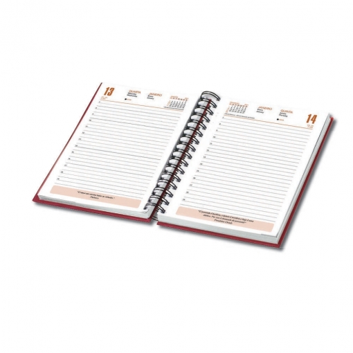 Agenda Diária com wire-o e frases diárias 13,3 x19,7 cm-MB03447
