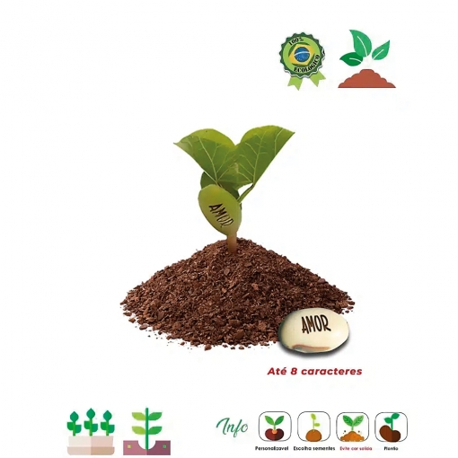 Kit Ecobox Semente Mágica 05 523-MB03741